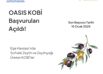 OASIS Projesi KOBİ Başvuruları Hk.